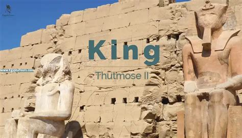  King Thutmose and the Talking Scarab – A Tale Of Ancient Egypt Exploring Greed and Unexpected Friendship!